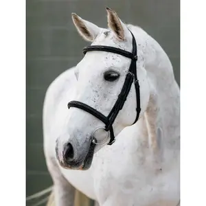 Bridles for horse with noseband LeMieux image-1