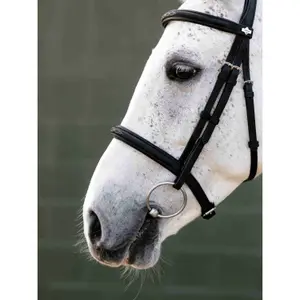 Bridles for horse with noseband LeMieux image-2