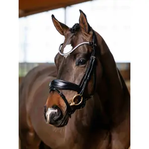 Dressage Bridle for Horse LeMieux image-0