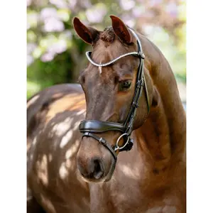 Anatomical horse riding bridles LeMieux image-1