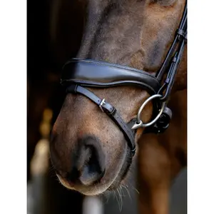 Anatomical horse riding bridles LeMieux image-2