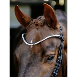 Anatomical horse riding bridles LeMieux image-3
