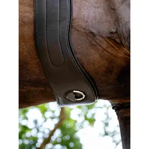 Saddle Strap for Horse LeMieux Black Hunter image-3