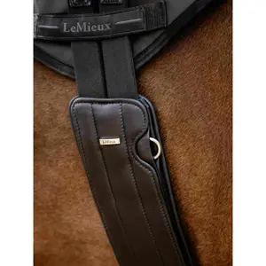 Saddle Strap for Horse LeMieux Black Hunter image-4