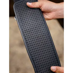 Saddle Strap for Horse LeMieux Black Hunter image-5