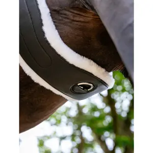 Saddle Strap for Horse LeMieux Black Hunter image-2