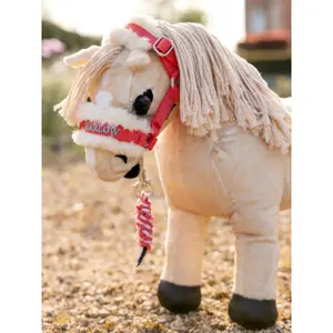 Teddy bear halter and lead set LeMieux Harlow image-1