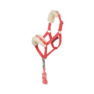 Hobby Horse Halter and Lunge Set LeMieux Harlow