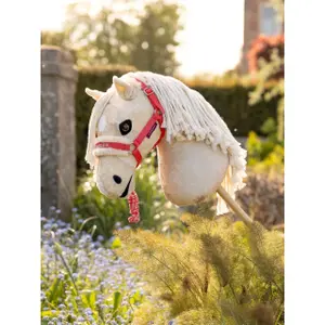 Hobby Horse Halter and Lunge Set LeMieux Harlow image-1