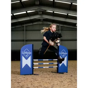 Hobby Horse Jumping Bars LeMieux image-1