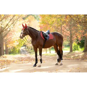 Jumping Saddle Pad LeMieux Suede Close image-1