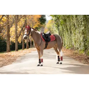 Jumping Saddle Pad LeMieux Suede Close image-4