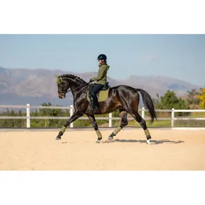 Dressage saddle pad for horses LeMieux Suede image-2