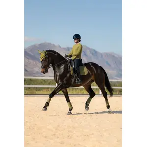 Dressage saddle pad for horses LeMieux Suede image-3