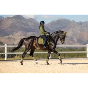 Dressage saddle pad for horses LeMieux Suede image-4