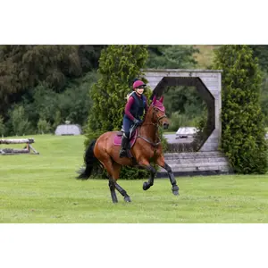 Saddle pad for horses LeMieux Suede GP image-5