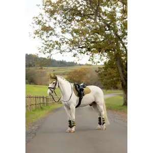 Saddle pad for horses LeMieux Suede GP image-1