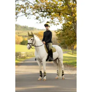 Saddle pad for horses LeMieux Suede GP image-3