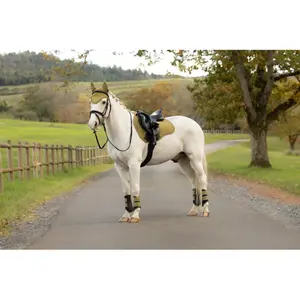 Saddle pad for horses LeMieux Suede GP image-5