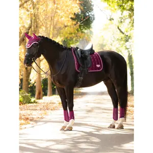 Dressuurmat voor paarden LeMieux Loire Classic image-1