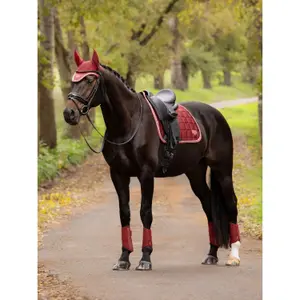 Dressuurmat voor paarden LeMieux Loire Classic image-1