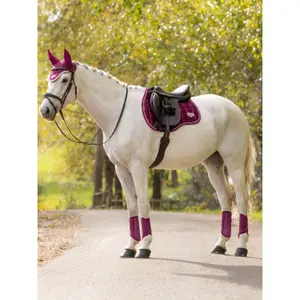 Saddle pad for horses LeMieux Loire Classic GP image-1