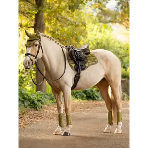Almofada de sela para cavalos LeMieux Loire Classic GP image-1