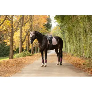 Dressage saddle pad for horses LeMieux Essence image-5