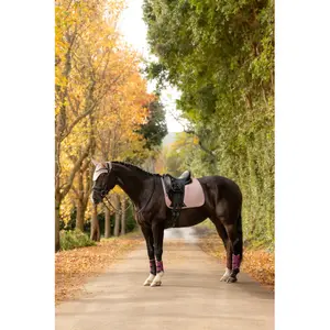 Dressage saddle pad for horses LeMieux Essence image-6