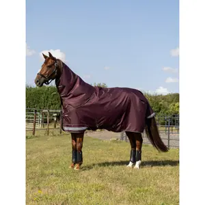 Coperta da paddock per cavalli LeMieux Arika Ripstop 0g