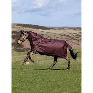 Coperta da paddock per cavalli LeMieux Arika Ripstop 0g image-1