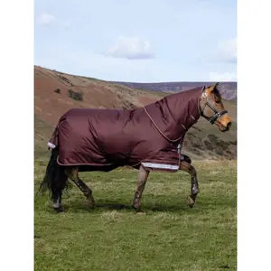 Outdoor paardendeken LeMieux Arika Ripstop 100g