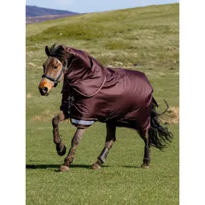 Outdoor paardendeken LeMieux Arika Ripstop 100g image-1