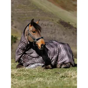 Outdoor  Blanket LeMieux Arika Check 100g image-2