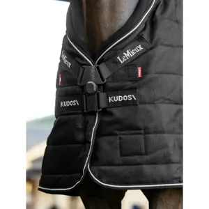 Stallmatta för häst med nackskydd LeMieux Kudos 100g image-2