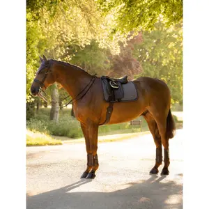 Dressur Schabracke LeMieux Heritage Herringbone image-2