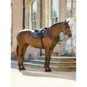 Springschabracke LeMieux Heritage Herringbone image-2
