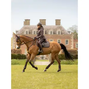 Springschabracke LeMieux Heritage Herringbone image-3