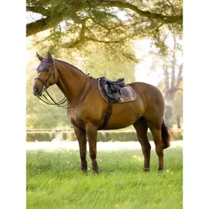 Springschabracke LeMieux Heritage Check image-2