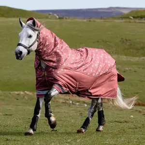Outdoor  Blanket LeMieux Arika Star 0g