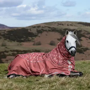 Outdoor  Blanket LeMieux Arika Star 0g image-1