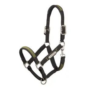 Halter for horse LeMieux Capella
