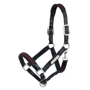 Halter for horse LeMieux Capella