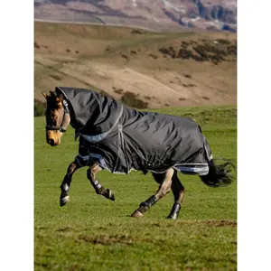 Outdoor paardendeken LeMieux Kudos Neo 100g image-1