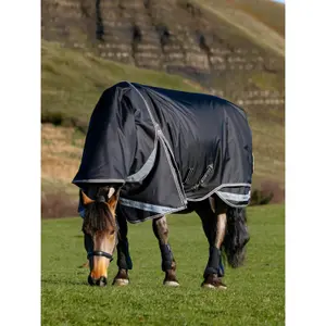 Outdoor paardendeken LeMieux Kudos Neo 100g image-2