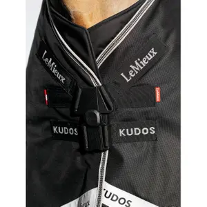 Hästtäcke för utomhusbruk LeMieux Kudos 200g image-2