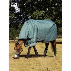 Coperta da paddock per cavalli LeMieux Arika Ripstop 0g image-1
