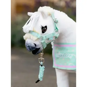 Gioco per cavallo capezza e lunghina LeMieux Harlow image-1