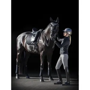 Polo wraps for horse LeMieux Loire image-1