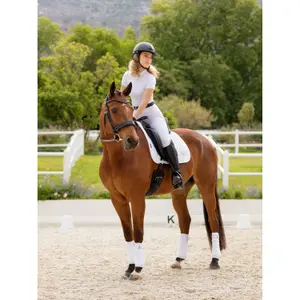 Polo wraps for horse LeMieux Loire image-1